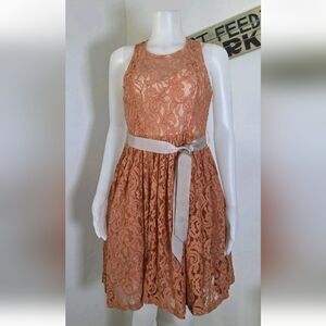 New Anthropologie Freeway Apparel Lined Romantic Lace Dress M Dusty Peach